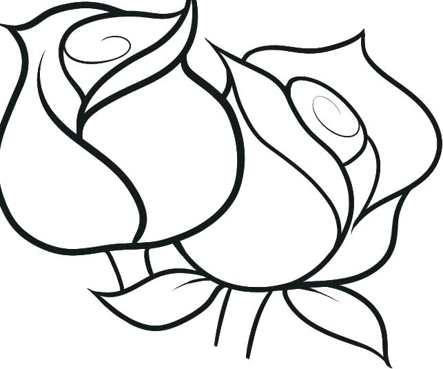 643x535 Pictures Of Roses To Color With Free Printable Rose Coloring Pages