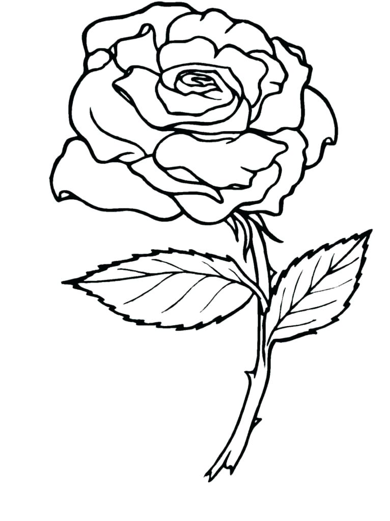766x1021 Printable Rose Coloring Pages