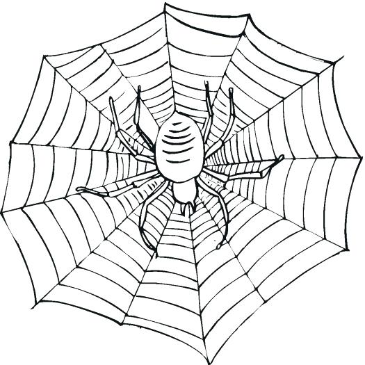 Printable Spider Coloring Pages at GetDrawings | Free download