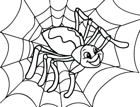 581x444 Tarantula Spider Coloring Page Spider Coloring Pages For Adults