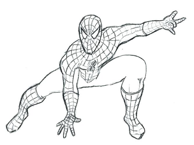 667x500 Printable Spiderman Coloring Pages Medium Size Of Free Printable