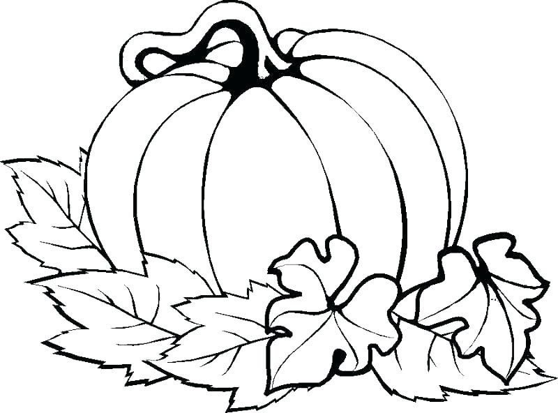 800x592 Thanksgiving Color Pages Free Free Printable Thanksgiving Coloring
