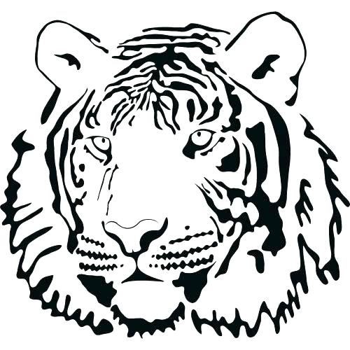 500x500 Printable Tiger Coloring Pages Tiger Coloring Picture Medium Size