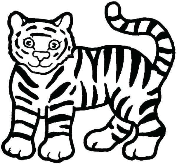 Printable Tiger Coloring Pages at GetDrawings | Free download