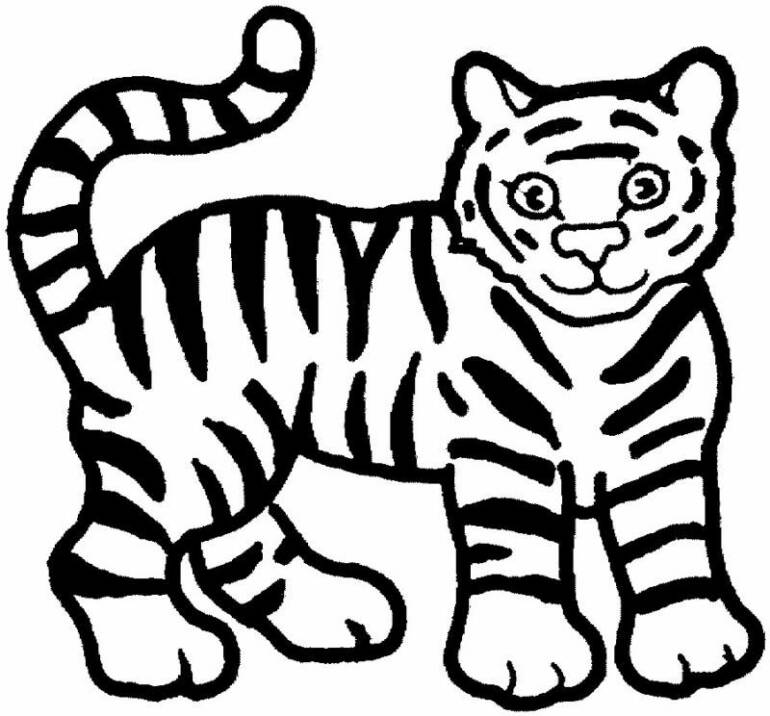 770x716 Tiger Coloring Pages