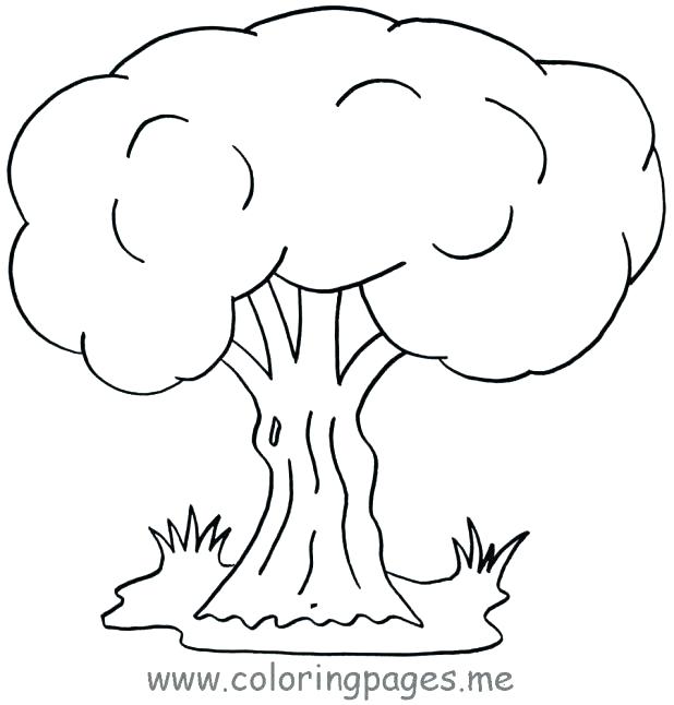 Printable Tree Coloring Page at GetDrawings | Free download