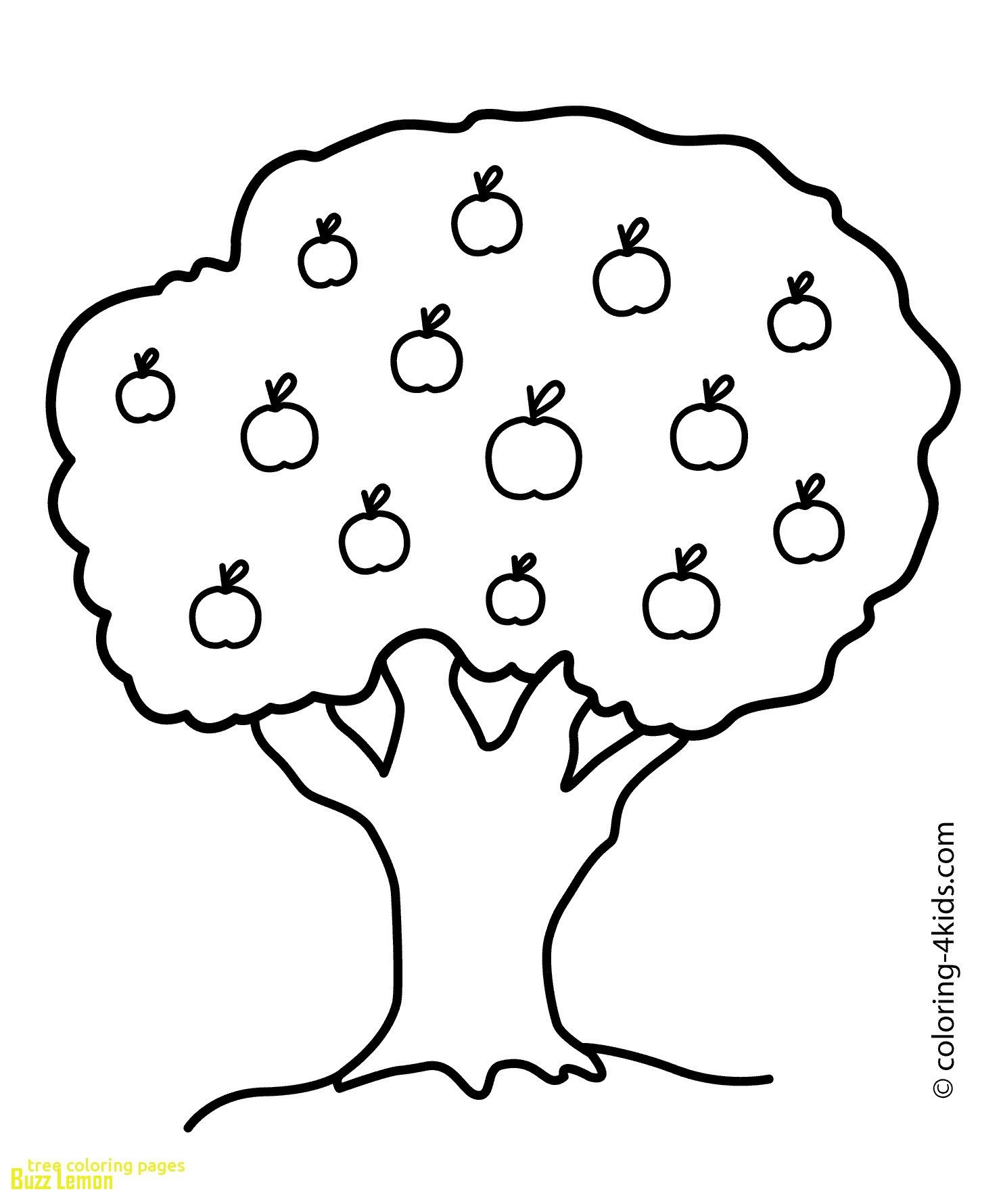 1483x1780 Coloring Pages Olive Tree Fresh Coloring Page Tree In Coloring