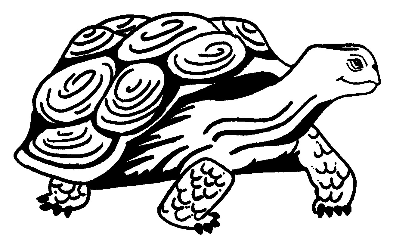 1306x814 Printable Turtle Coloring Pages For Kids Bright Book Acpra