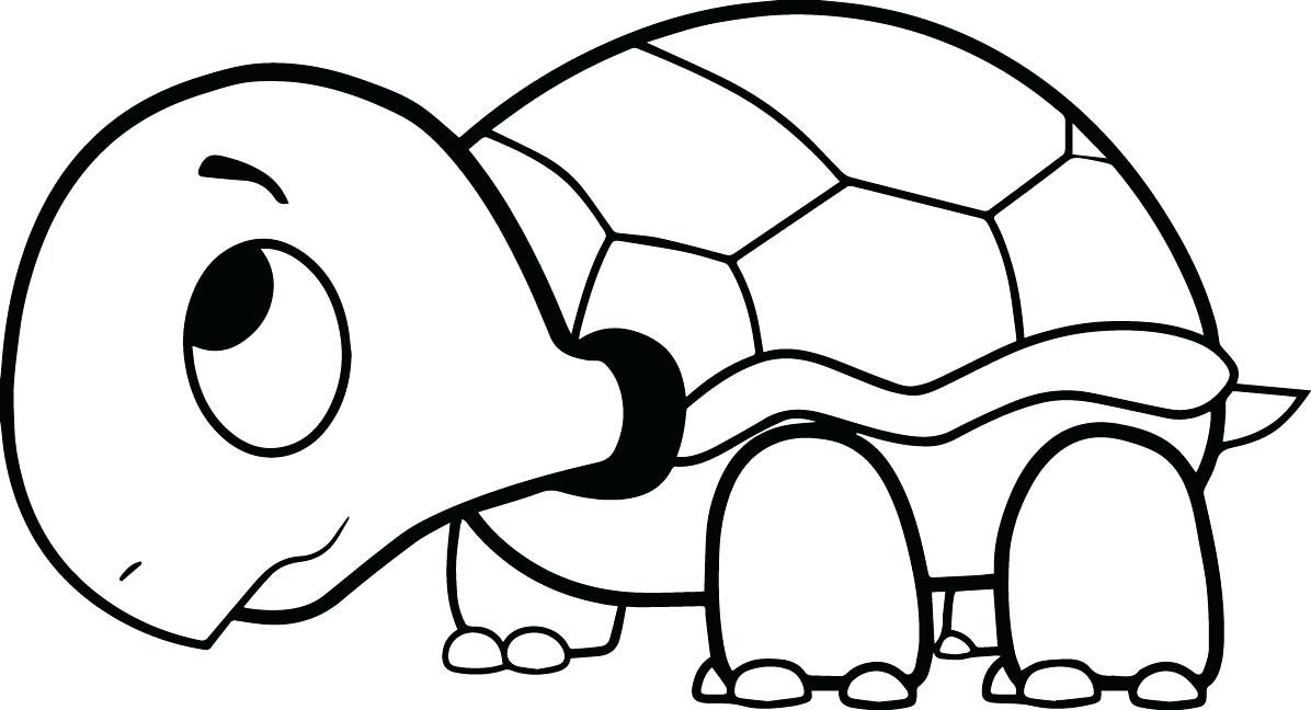 1196x648 Printable Turtle Coloring Pages Turtle Coloring Sheet Turtle