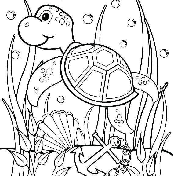 570x576 Sea Turtle Coloring Pages To Print