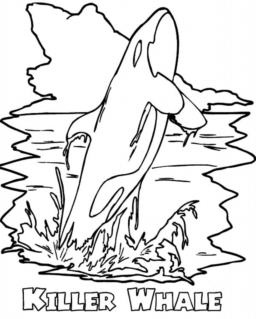 824x1024 Killer Whale Coloring Pages Printable Image For Orca Plans