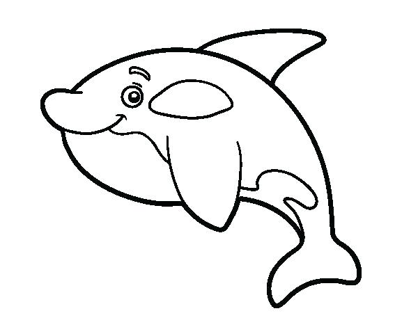 600x470 Whale Shark Coloring Page Whale Coloring Pages Whale Whale