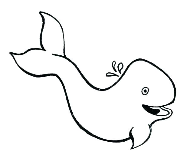 618x522 Whale Shark Coloring Pages Whale Coloring Sheet Whale Coloring