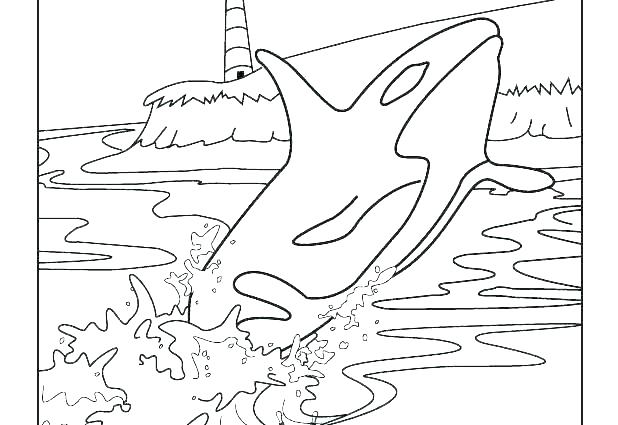 618x425 Whale Coloring Pictures