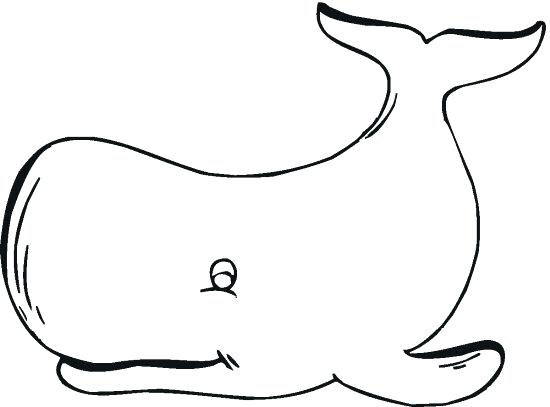 550x407 Good Whale Coloring Pages And Whale Free Printable Whale