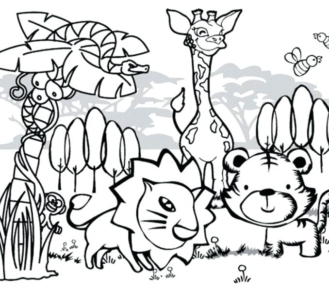 678x600 Printable Animal Coloring Pages Owl Coloring Page Printable Zoo