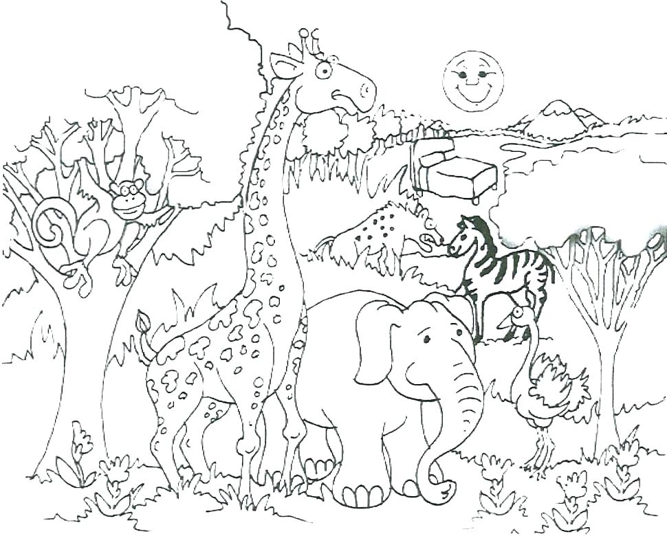970x780 Printable Pictures Of Zoo Animals Coloring Pages Zoo Animals