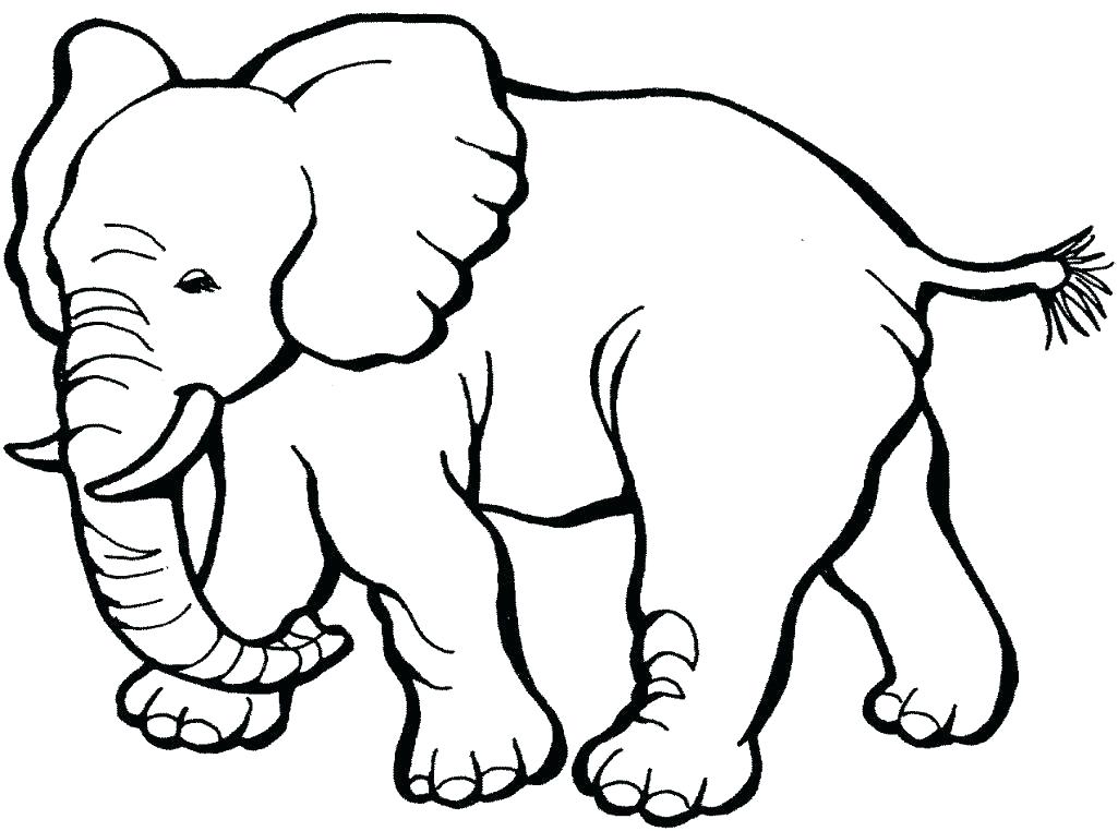 1025x762 Zoo Animals Coloring Page Coloring Pages Of Zoo Animals Zoo