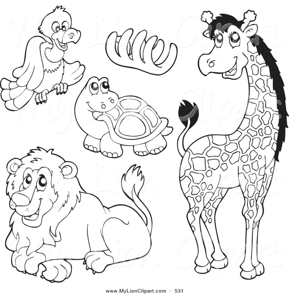 921x938 Coloring Pages Zoo Animals Coloring Pages For Kindergarten Zoo