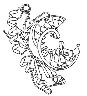 300x332 Pdb Learn Coloring Books Coloring Molecular Machinery