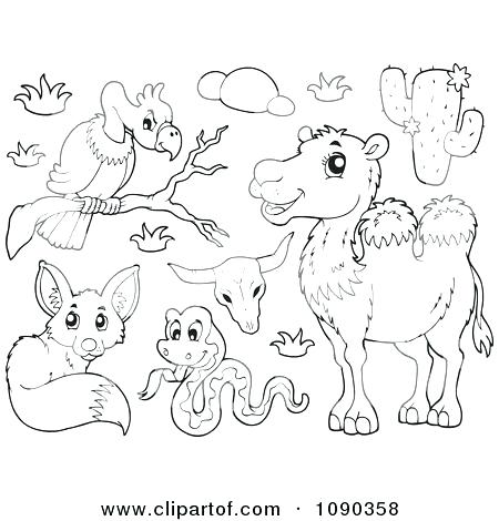 450x470 Plants And Animals Moose Animal Coloring Pages Rocky Mountains