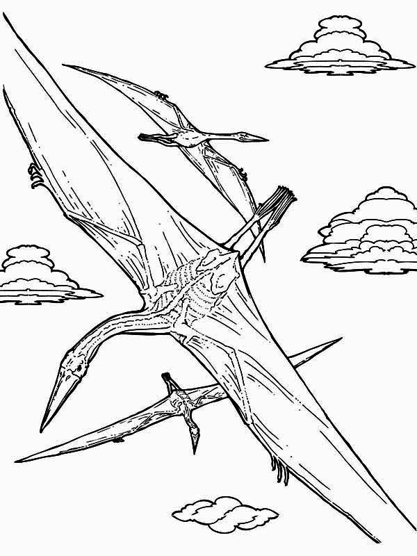 600x800 Pteranodon Coloring Page