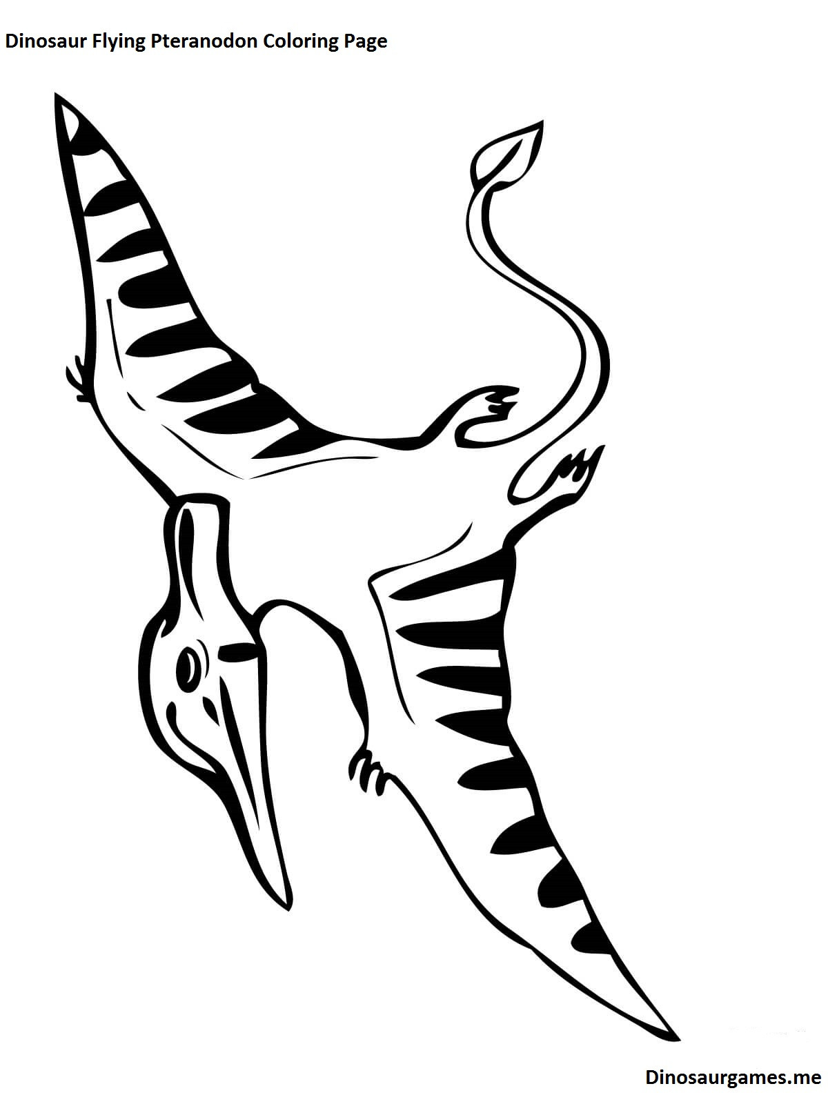 1200x1600 Pteranodon Coloring Pages