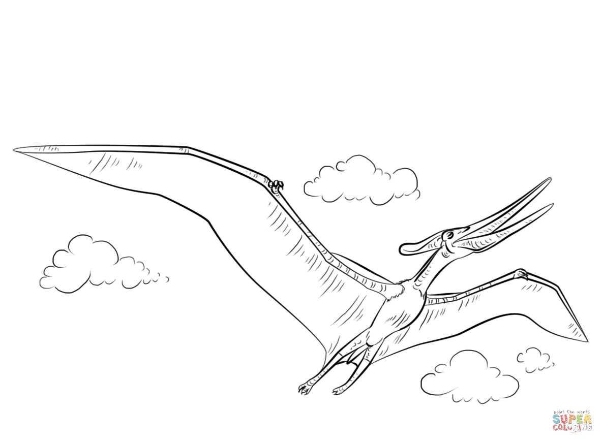 1186x872 Pteranodon Coloring Pages To Print Coloring For Kids