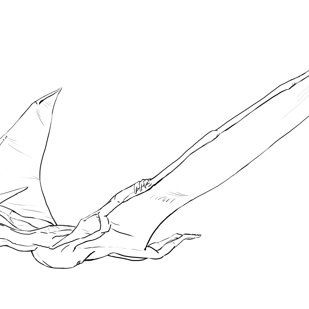 1024x1024 Pteranodon Flying Coloring Page Free Printable Coloring Coloring