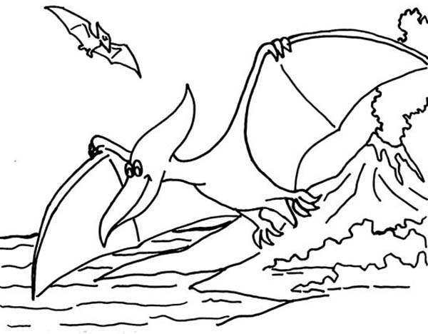 600x468 Pteranodon Coloring Pages Pteranodon Fish Hunting Coloring Page