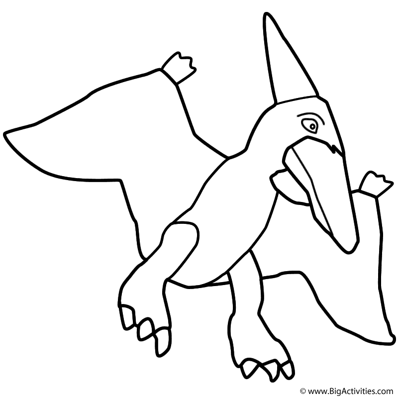 800x800 Pterodactyl