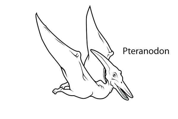 600x400 Pterodactyl Coloring Page Pterodactyl Coloring Pages From Late