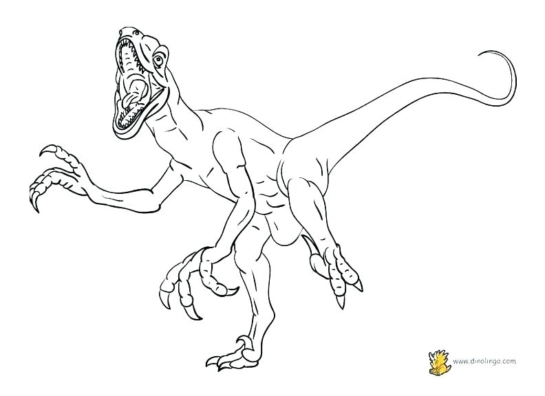 792x576 Pterodactyl Coloring Pages