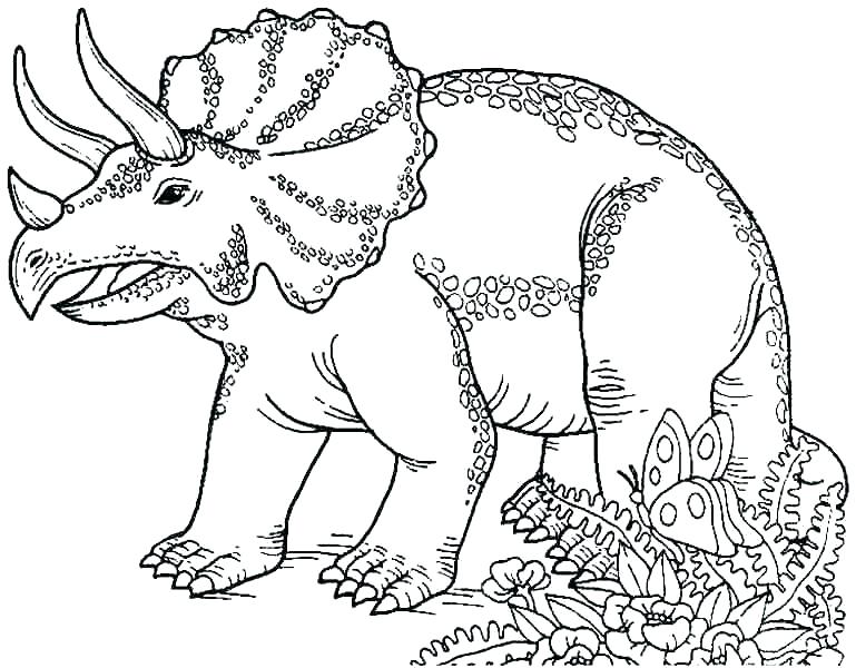 769x600 Coloring Pages Dinosaur Pterodactyl Coloring Page Dinosaur