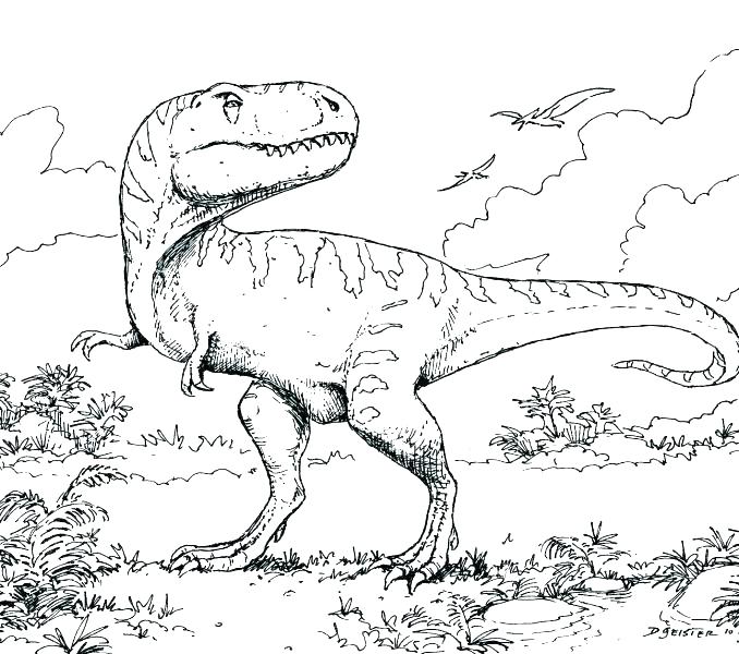 678x600 Dinosaur Coloring Page Realistic Dinosaur Coloring Pages Free