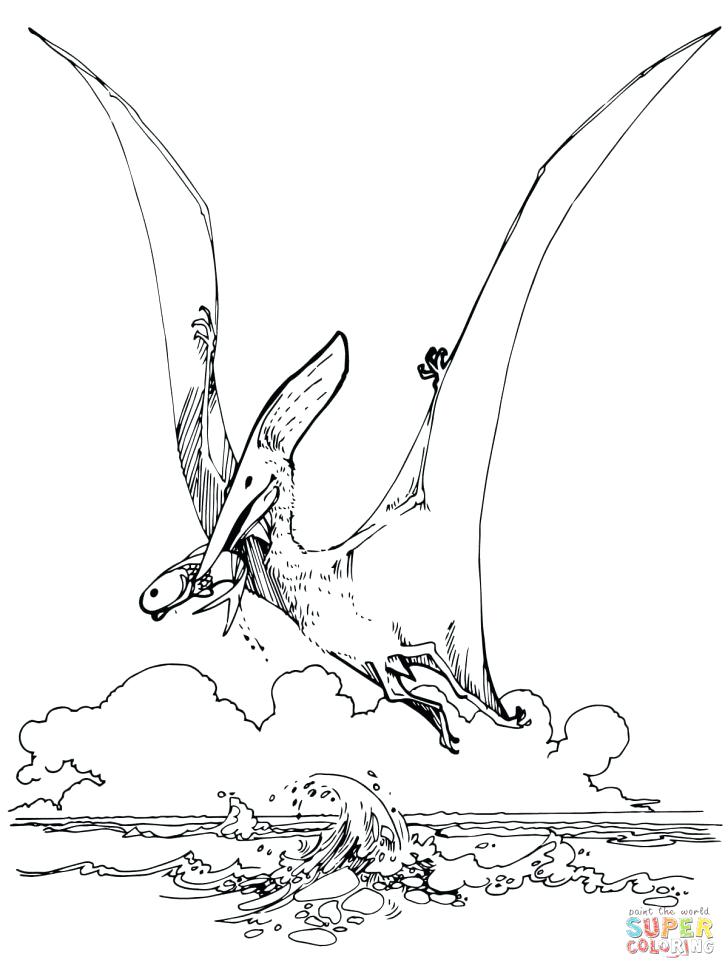 728x971 Pterodactyl Coloring Page Free Coloring Pages For Adults Easy