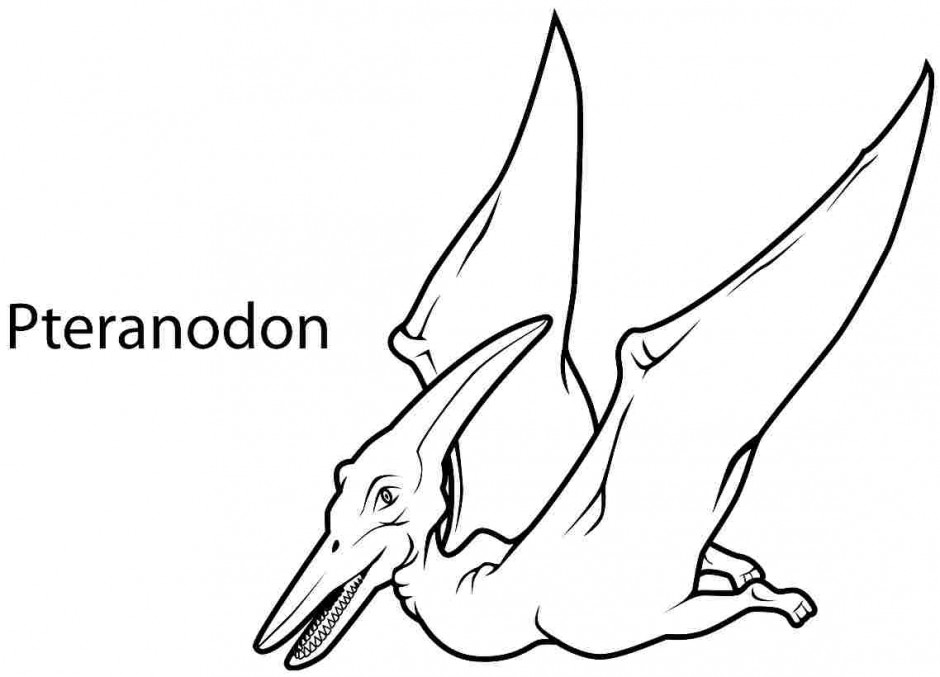 940x677 Pterodactyl Coloring Pages