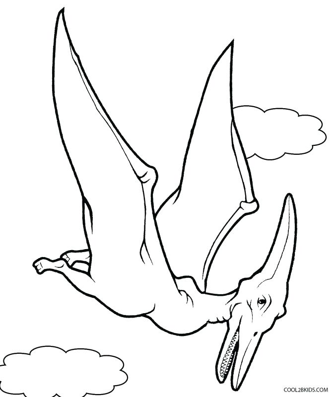 675x800 Pterodactyl Coloring Pages Flying Dinosaur Coloring Pages