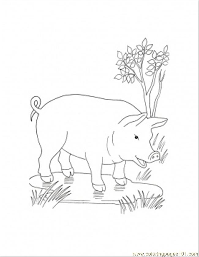 650x841 In The Puddle Coloring Page Coloring Page