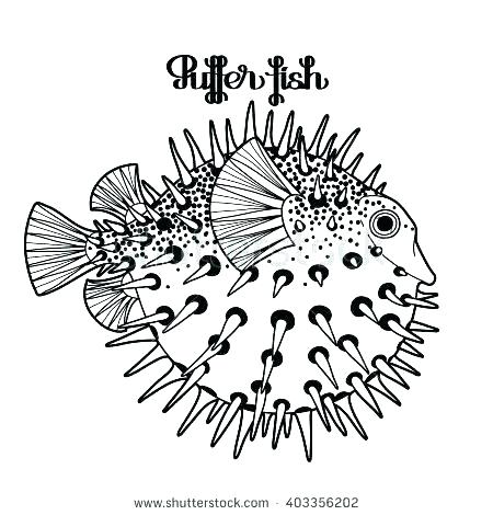 450x470 Puffer Fish Coloring Page Puffer Fish Coloring Page Fish Coloring