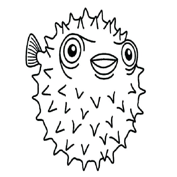 600x600 Puffer Fish Colouring Pages Coloring Page Angel Absolu