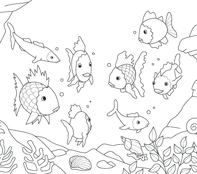 678x600 Coloring Fish Puffer Fish Coloring Page Pages Puffer Fish Coloring