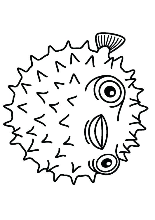 531x750 Impressive Enchanting Puffer Fish Coloring Page Free Download Kids