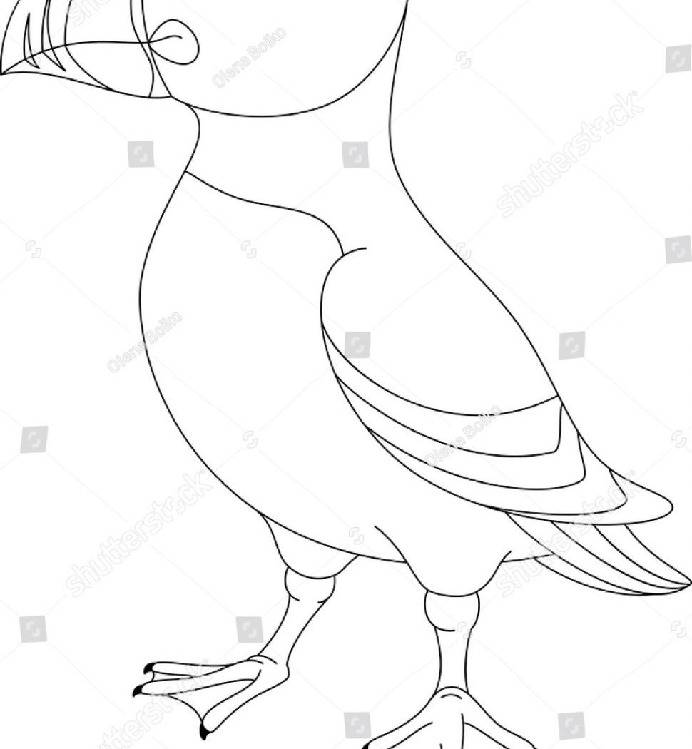 970x1050 Puffin Cartoon Coloring Page For Kids Easy Puffins Pages Free