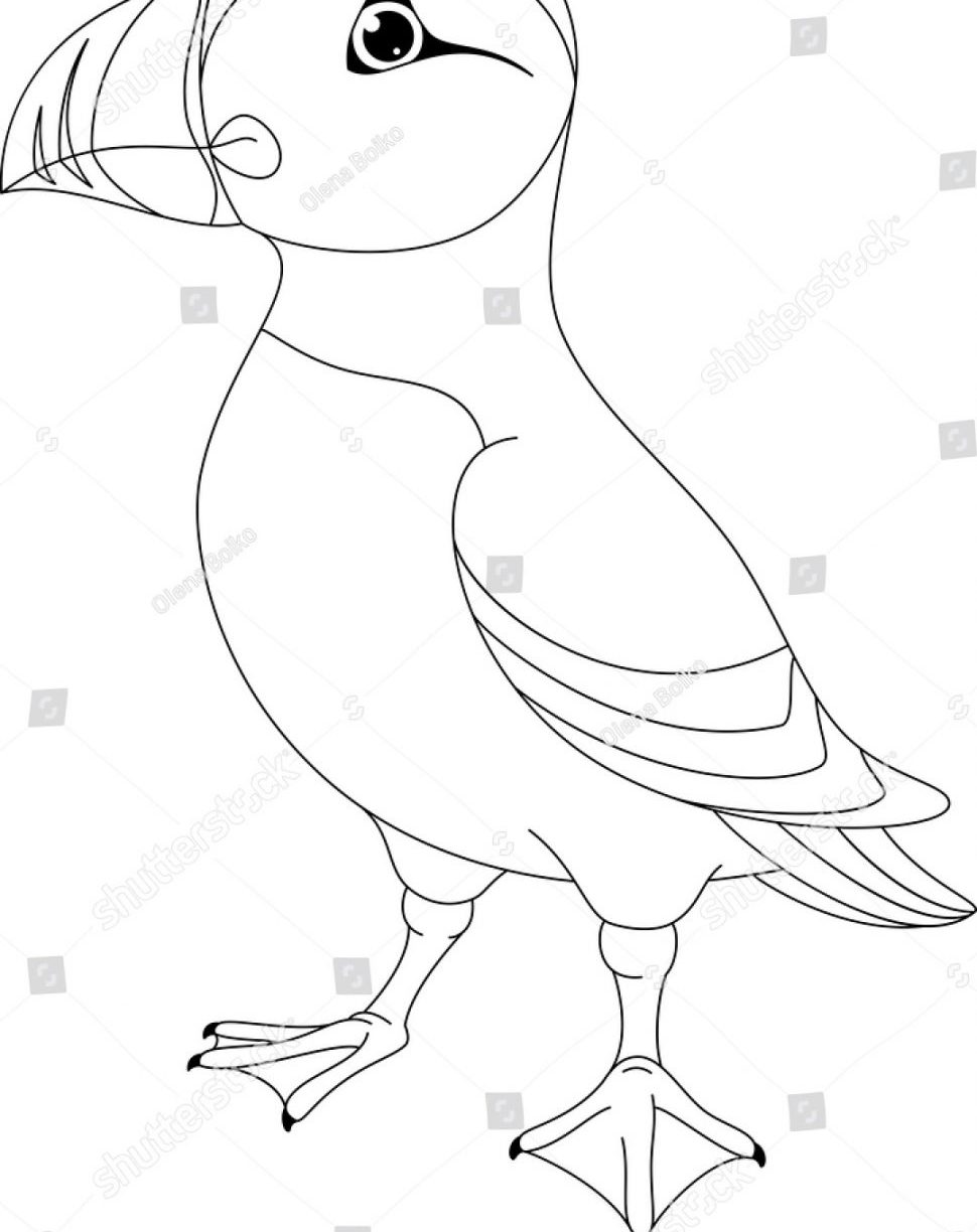 970x1224 Puffin Coloring Page