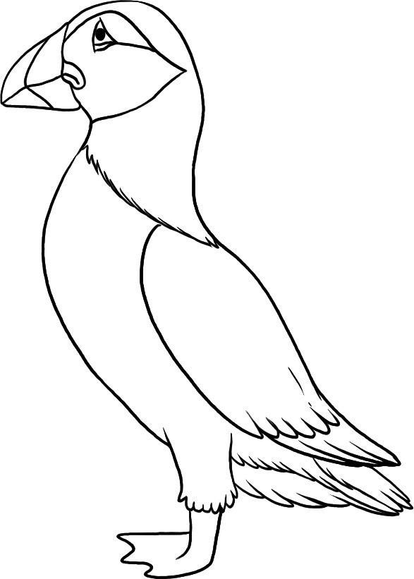 587x821 Top Puffin Coloring Pages For Toddlers Craft