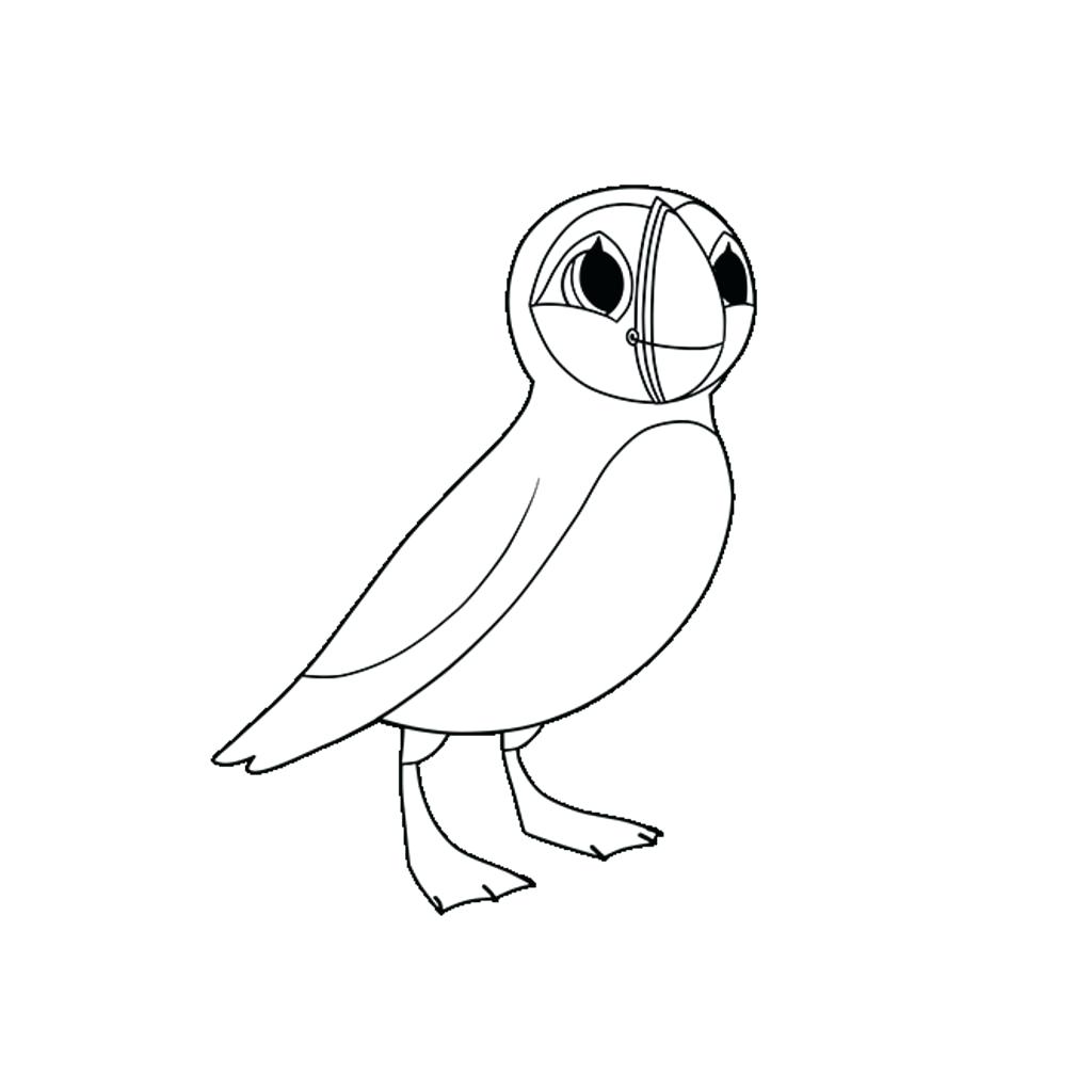 1024x1024 Wonderful Puffin Coloring Page Bird Jenoni Me
