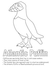 200x266 More Puffin Coloring Pages Puffinpalooza