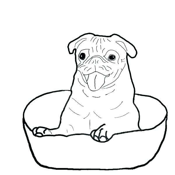 600x600 Pug Coloring Pages Pug Coloring Page Pug Is Happy Inside A Bowl