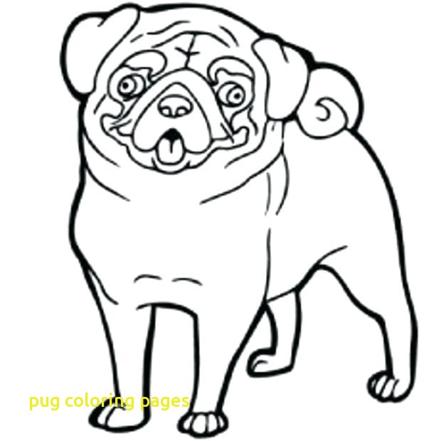 620x620 Pug Coloring Pages With Pug Coloring Page Shino